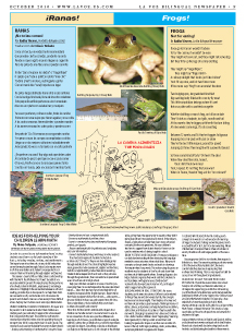 Bilingual Poem Frogs